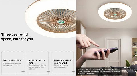 Ceiling Fan with Lighting LED Light (220V)